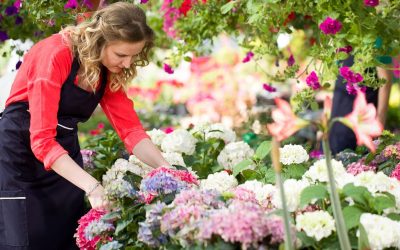 Secrets des Fleuristes : Ces Plantes Qu&rsquo;ils Refusent de Vous Vendre !