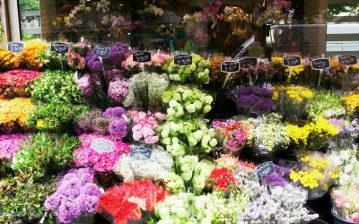 Devenir Fleuriste Grâce aux Secrets des Jardins Royaux