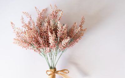 La Face Cachée du CAP Fleuriste : Ce Que le Programme Ne Vous Enseigne Pas