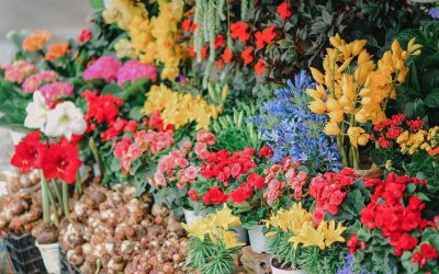 La vie secrète des fleuristes : ce qu’ils ne veulent pas que vous sachiez