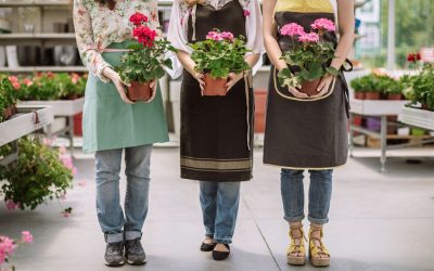 Les secrets des fleuristes : Ce qu&rsquo;ils ne vous diront jamais